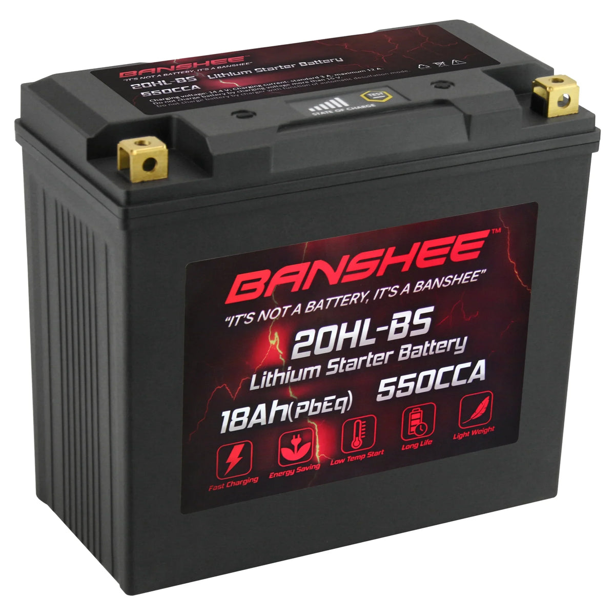 Sport Motorsports Banshee to Battery 2015 2015 V1 LiFePO4 with Yamaha WaveRunner Compatible VX1100D 20L-BS