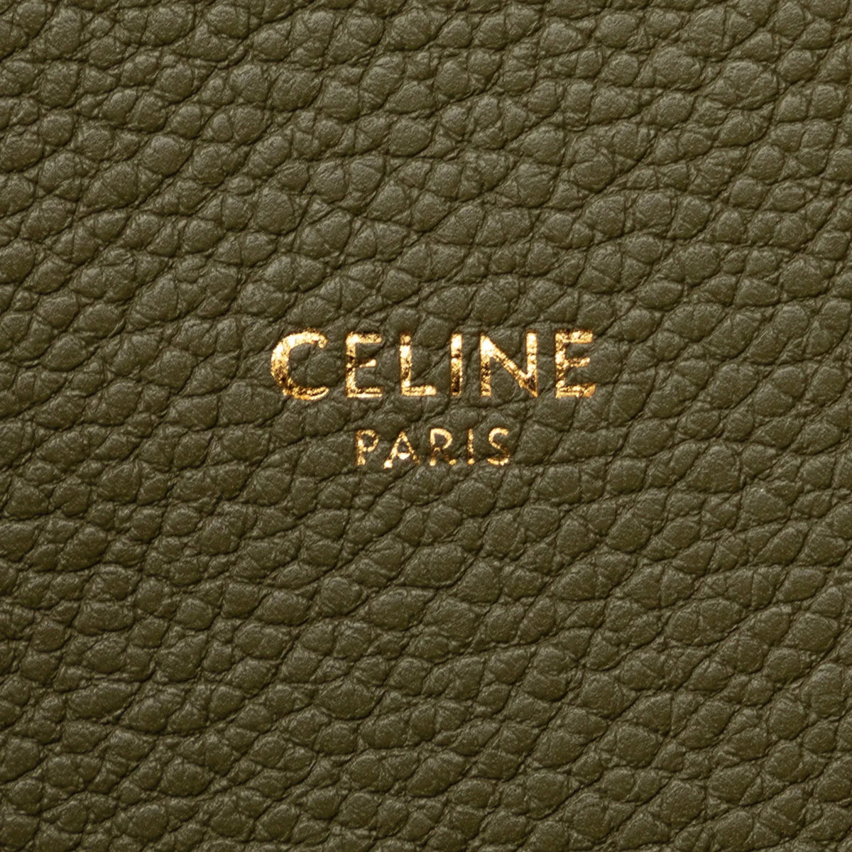 Green Unisex Teen Pre-Owned Authenticated Leather Calf Bucket Celine Bag Bucket (Good) 16 DrawstringBag