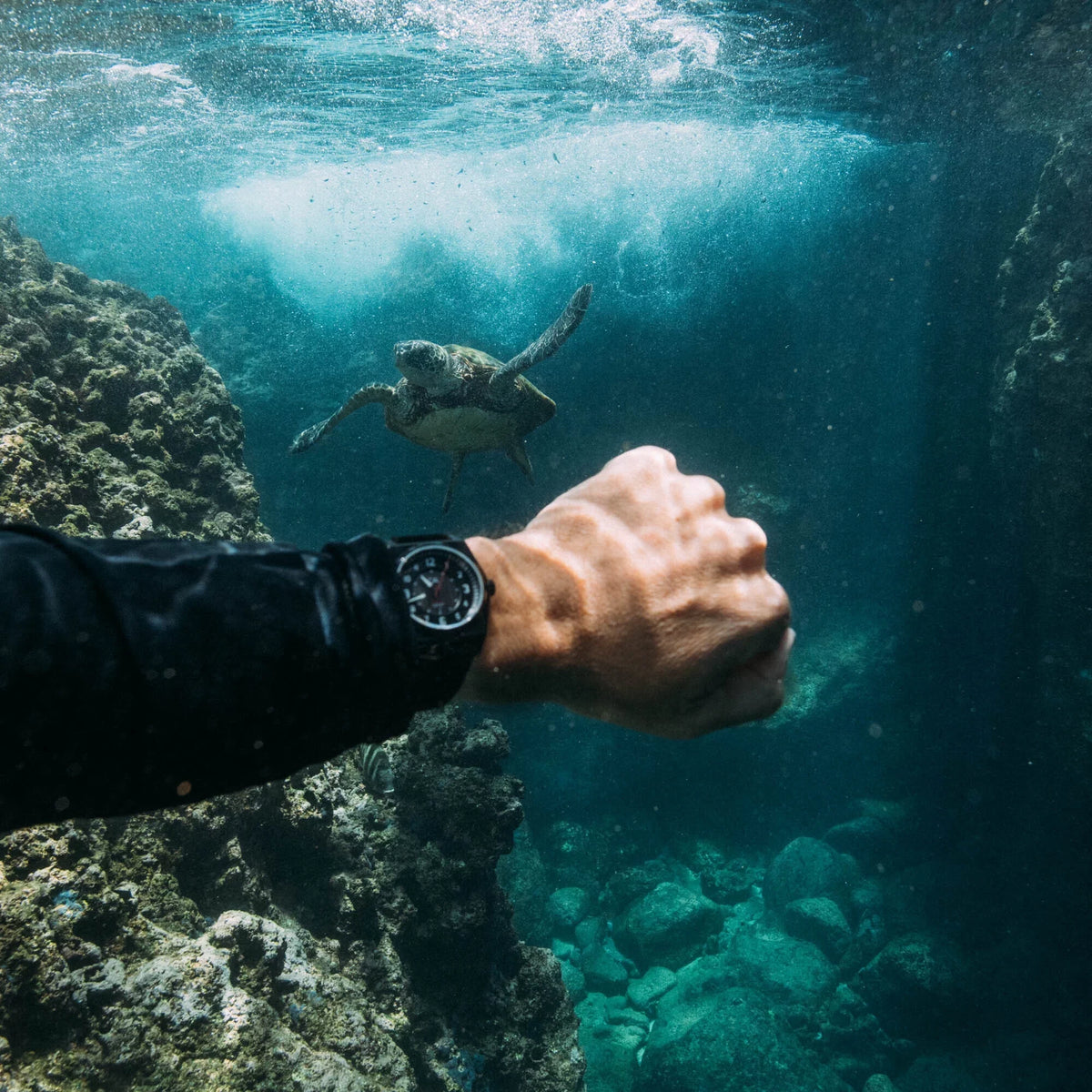 Lost California Solar Watch Co. Coast Field Midnight