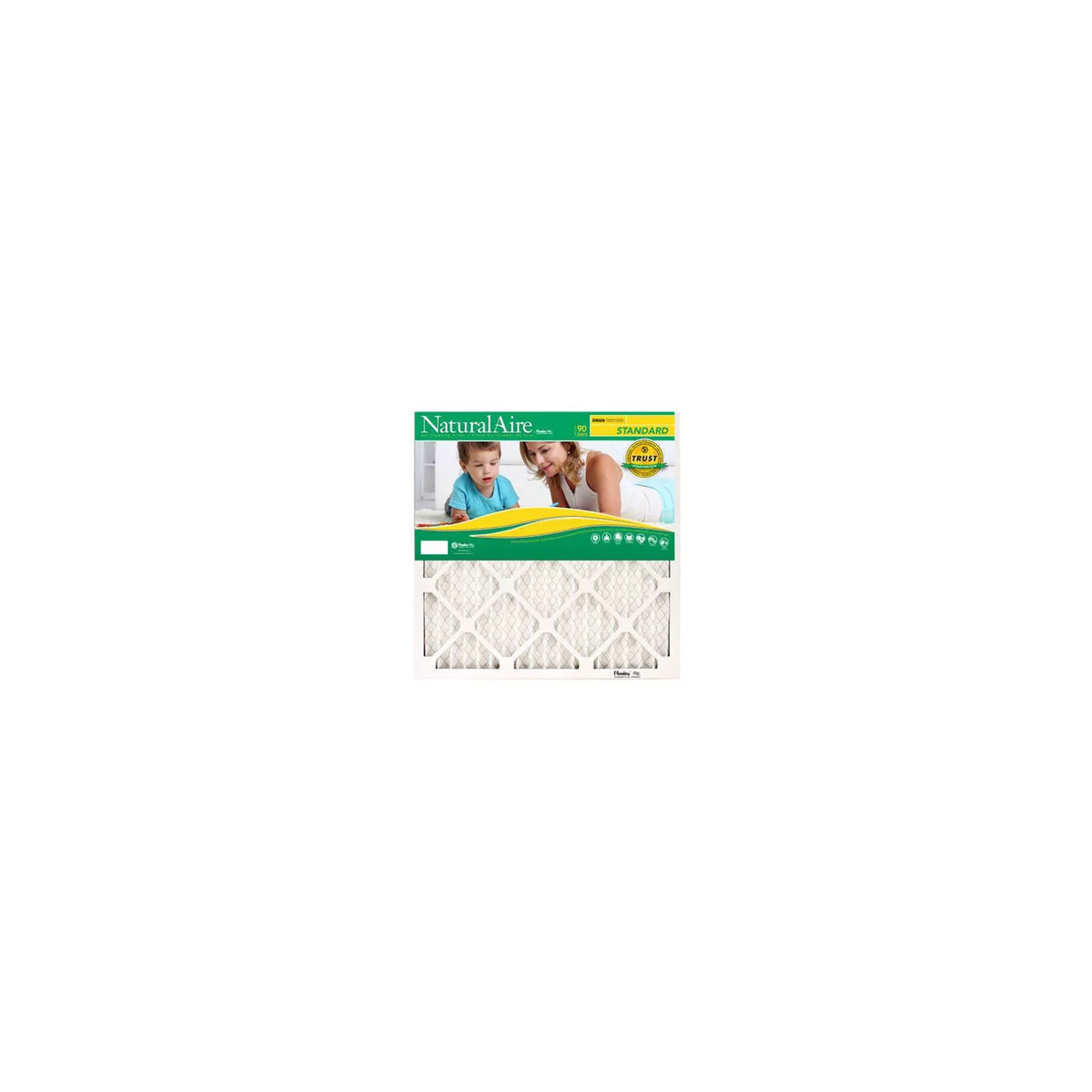 25x25 x In. Days B1-2525-8-12 1 Air Quantity BestAir 12 Filter, MERV - Pleated 8, Standard 90
