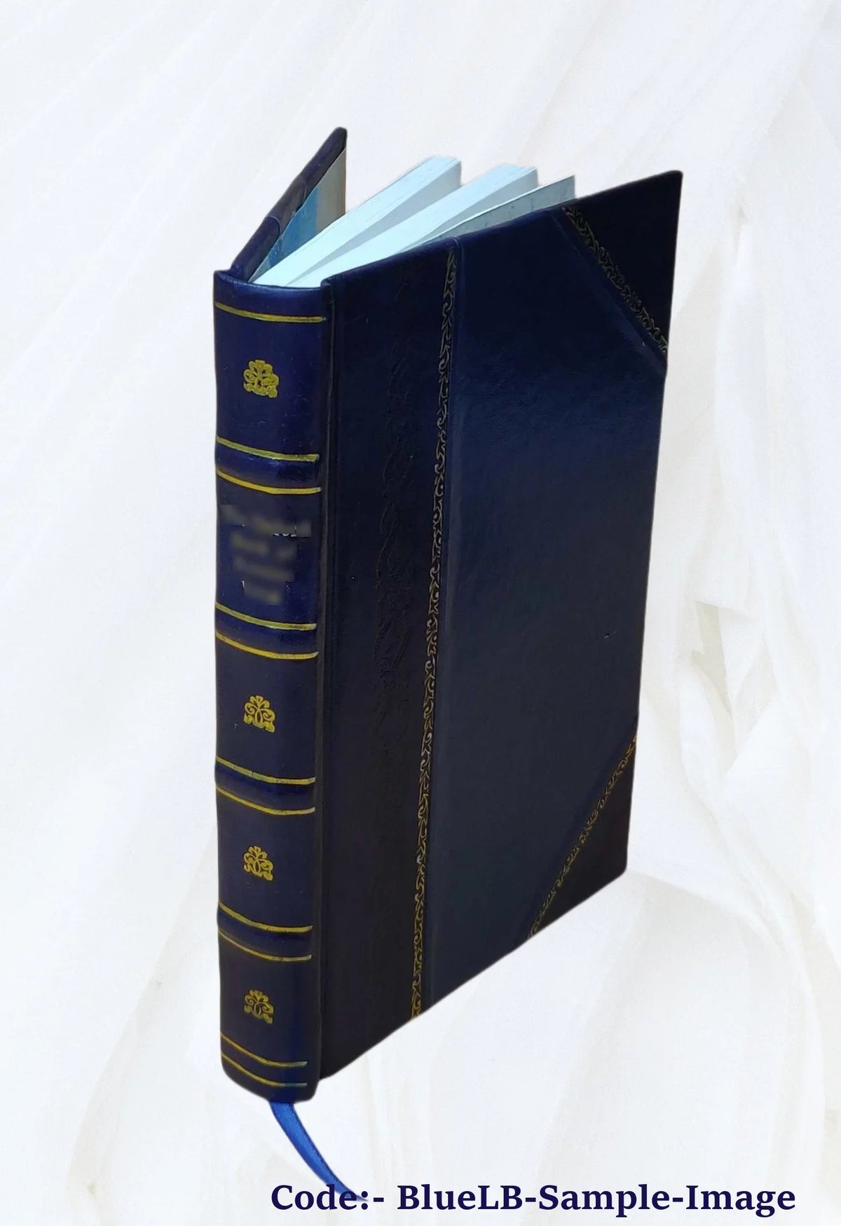 Volume sewage expansion statement. Denver environmental 1974 plant [Leather Bound] impact : treatment D
