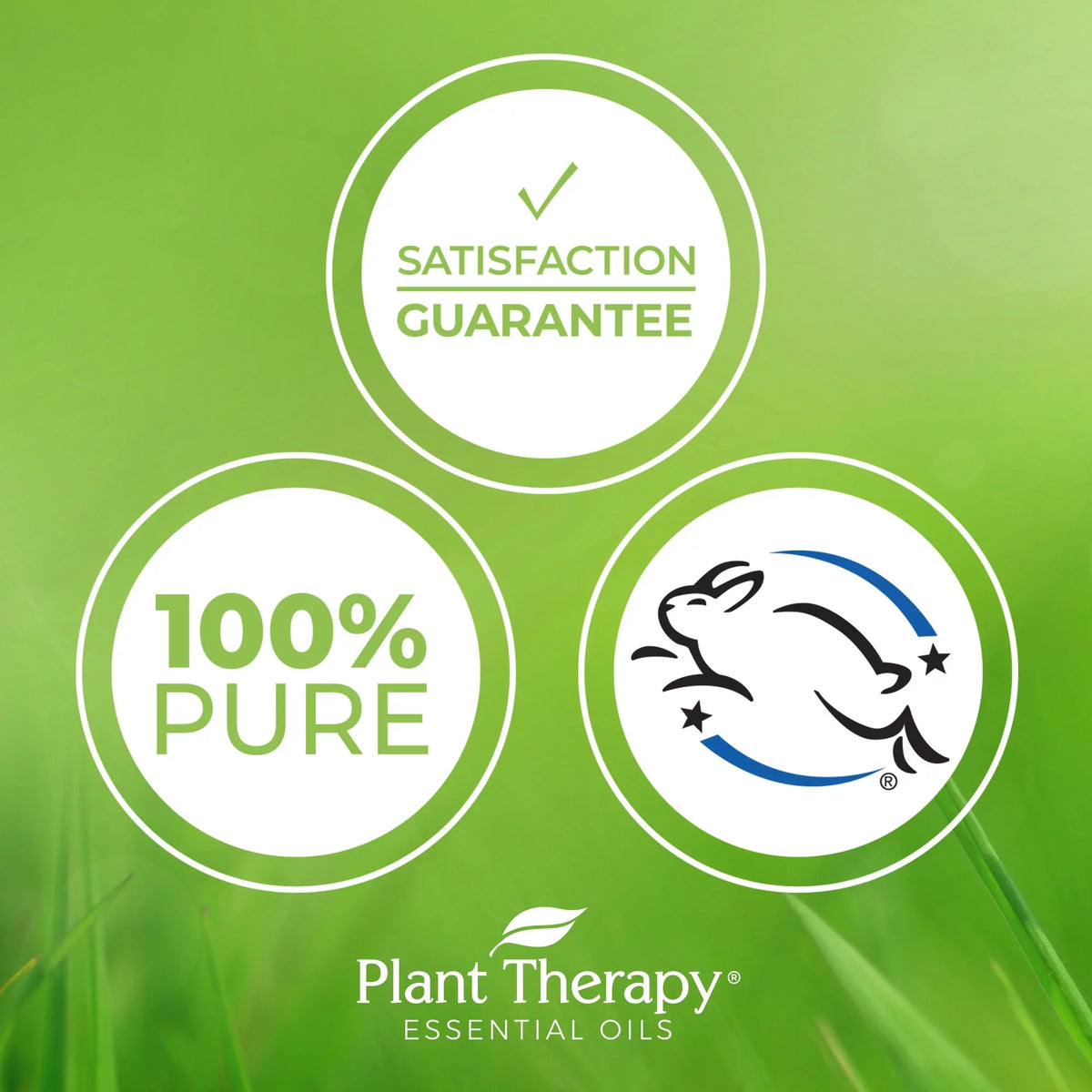 Essential mL 100% Therapy (1 Therapeutic Oil Grade 30 oz.) Carrot Plant Pure, Undiluted, fl. Seed
