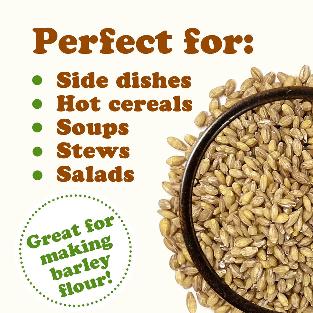20 to Pounds Food — by — Barley, Raw, Hulled Live Vegan