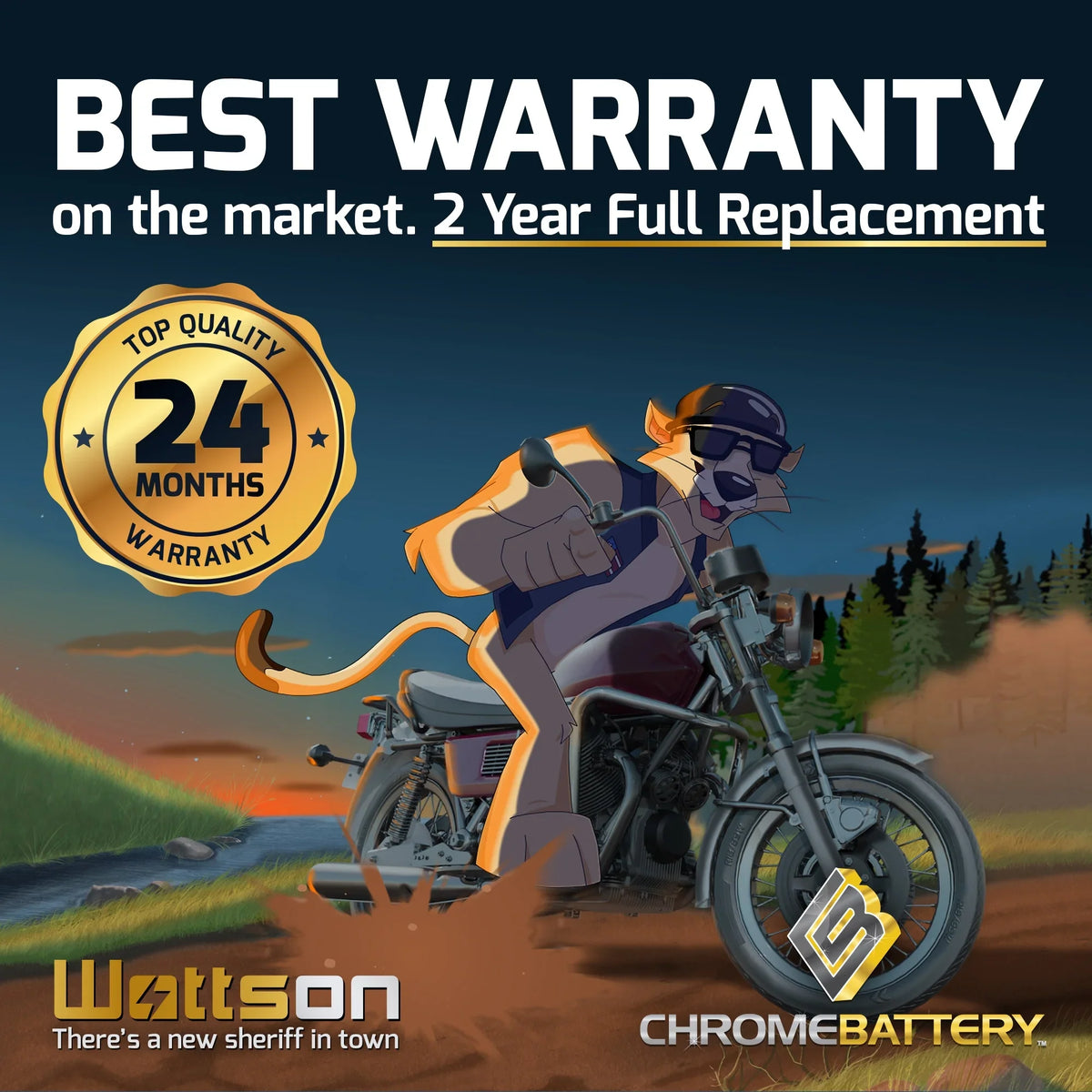 230 Jf650 650cc Kawasaki Zipp Ski X2 Jet Volt,14 for Ah, 12 (16L-BS Battery CCA) 1991 YTX16L-BS Battery