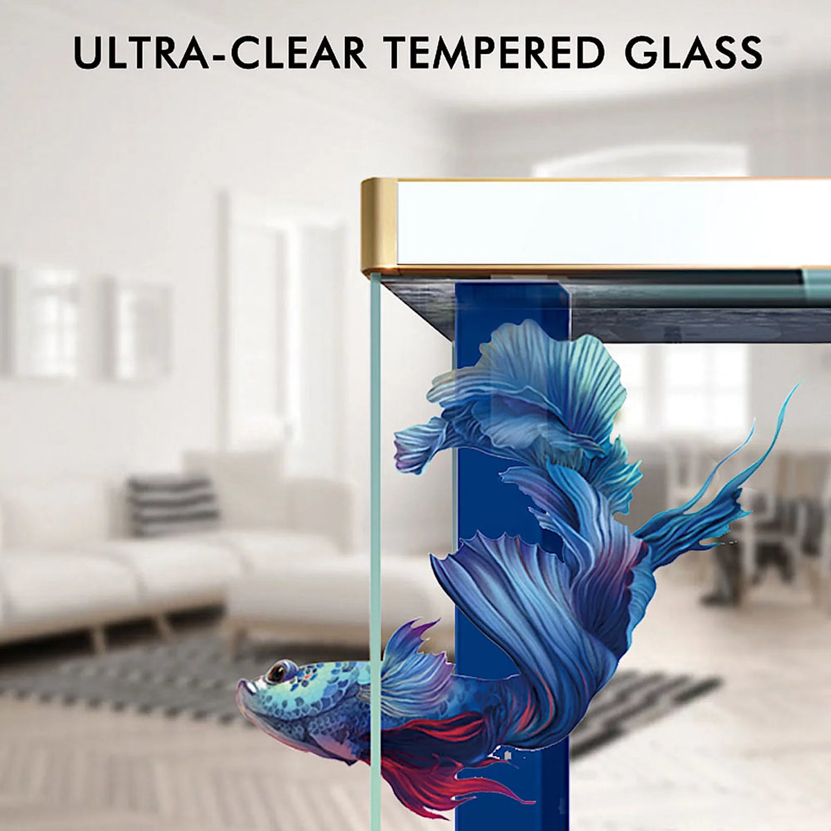 Gallon Dream All-in-one 100 rium Black Glass Tempered