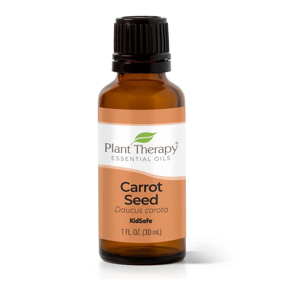 Essential mL 100% Therapy (1 Therapeutic Oil Grade 30 oz.) Carrot Plant Pure, Undiluted, fl. Seed