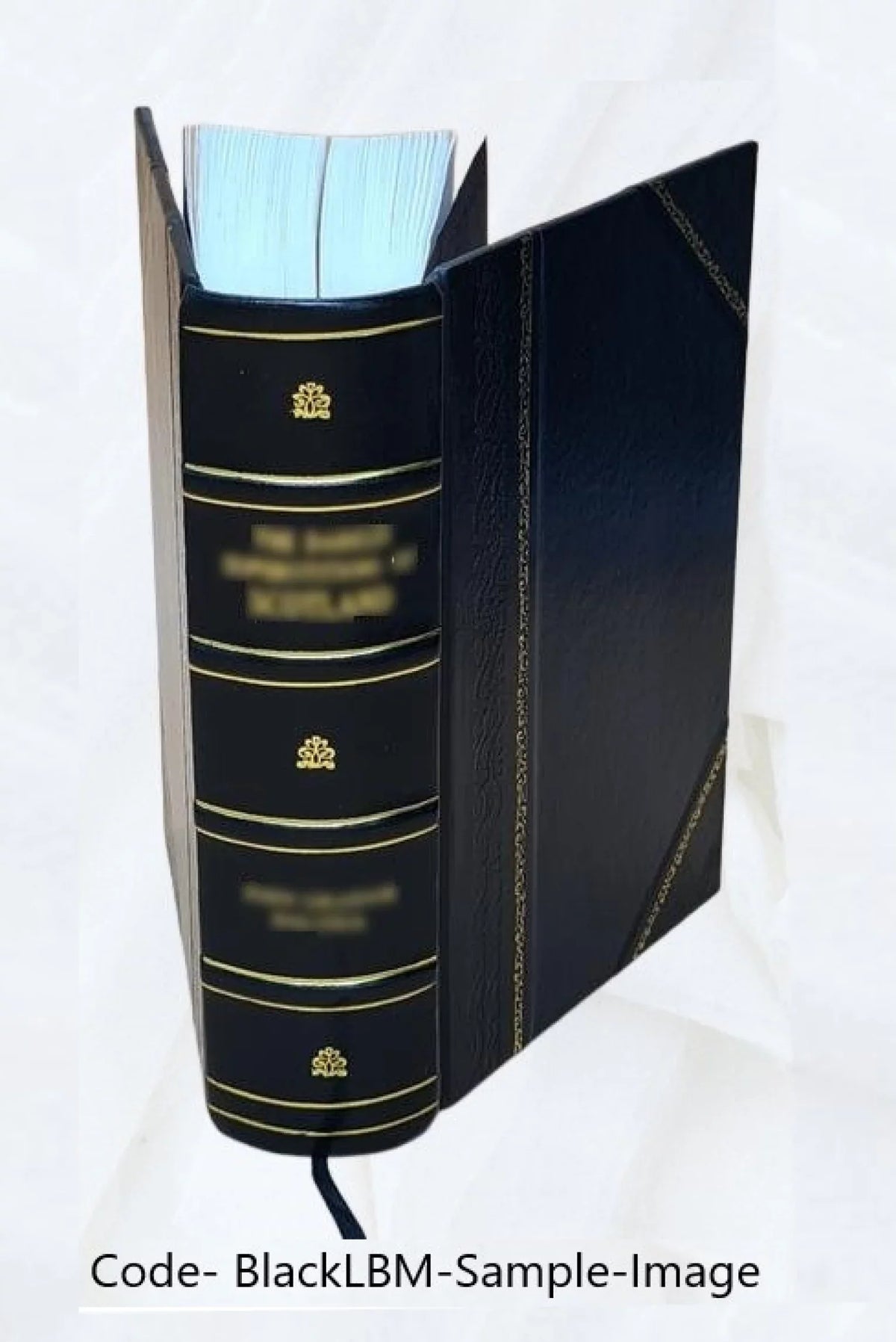 quattuor excursus, / [Leather by libri J.B. with Bound] Moyle. 1896 commentary, and Imperatoris Institutionum Iustiniani introductions,