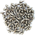 (9mm) Steel Spikes Stainless 100) Track/Cross (Bag Country 3/8 inch of