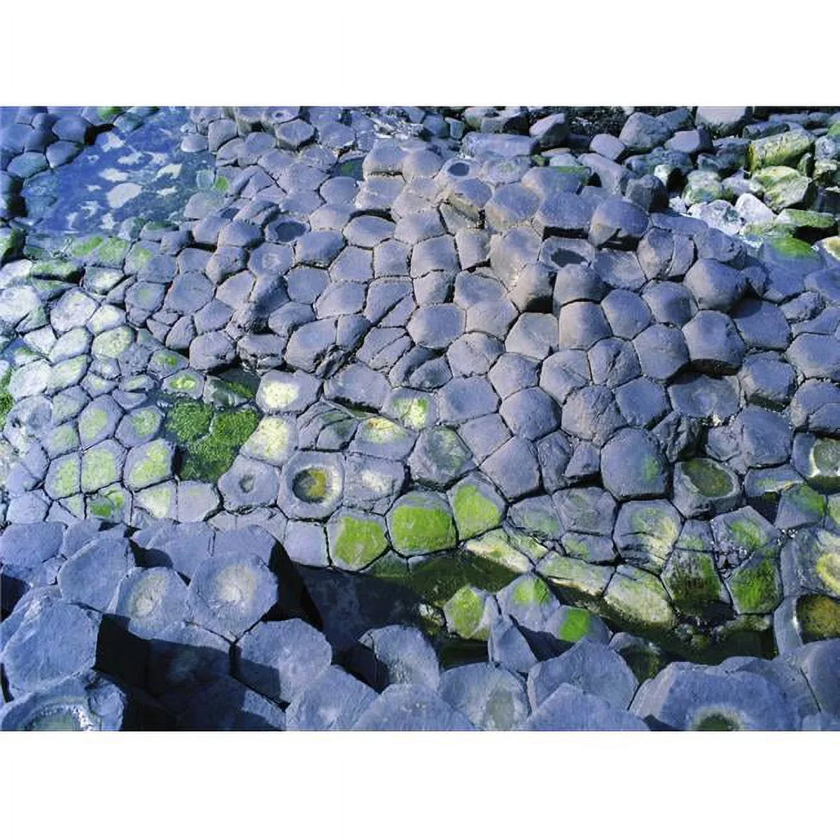Area World Image by Ireland Collection, Heritage x Irish The 34 Designated - Co Unesco Columns Causeway Basalt with - Antrim Site Poster Print 26 A Giants Large