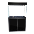 Gallon Dream All-in-one 100 rium Black Glass Tempered