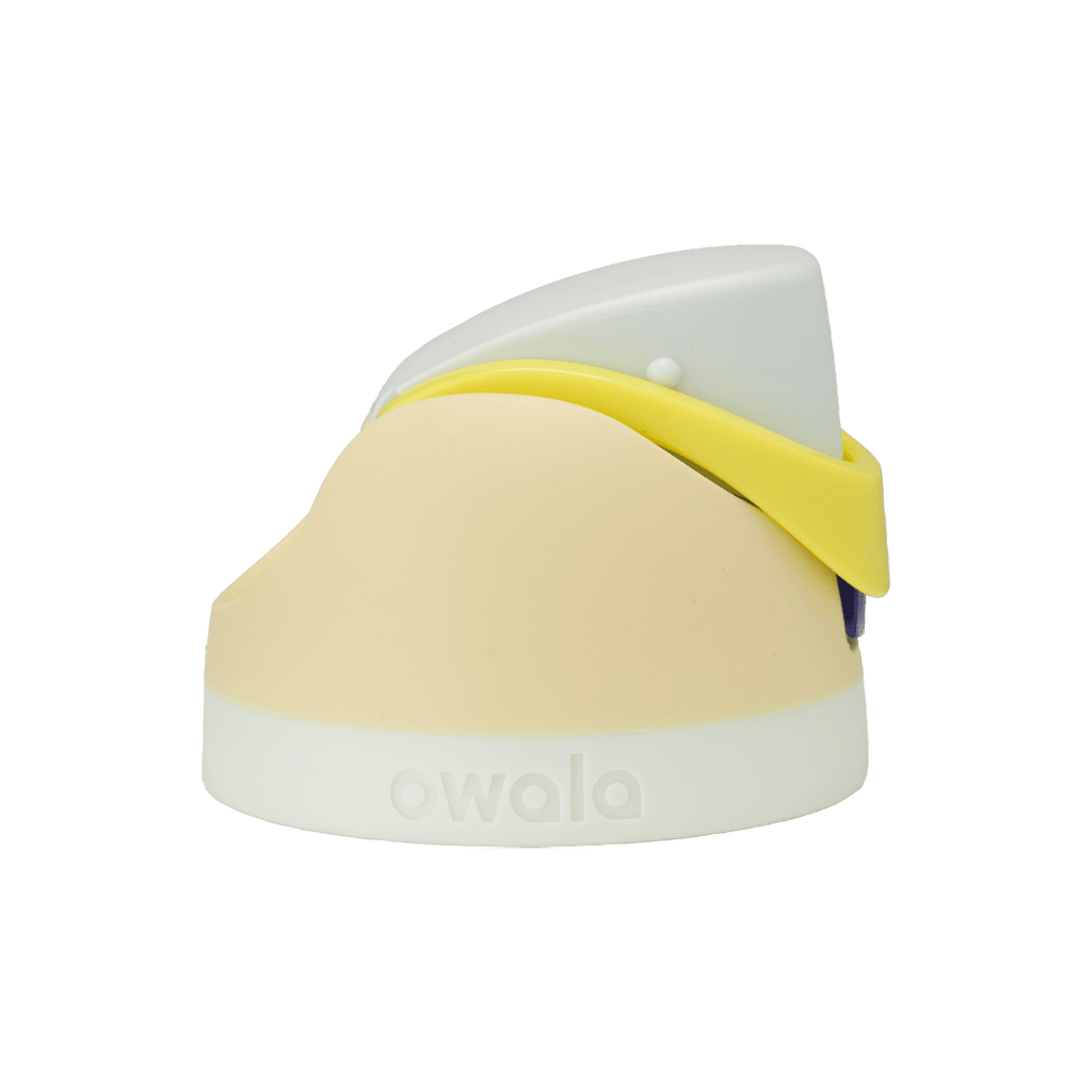 Replacement Straws